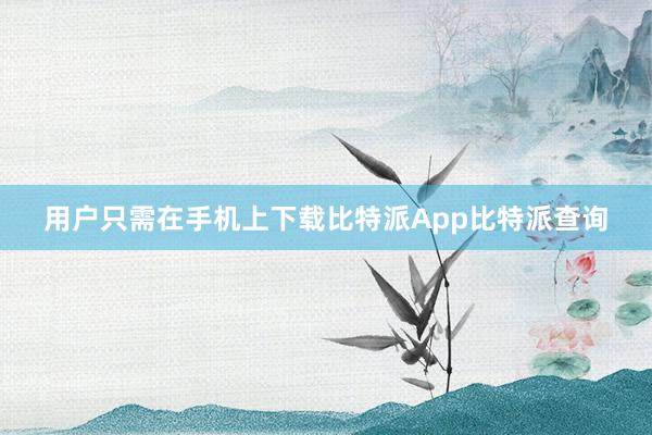 用户只需在手机上下载比特派App比特派查询