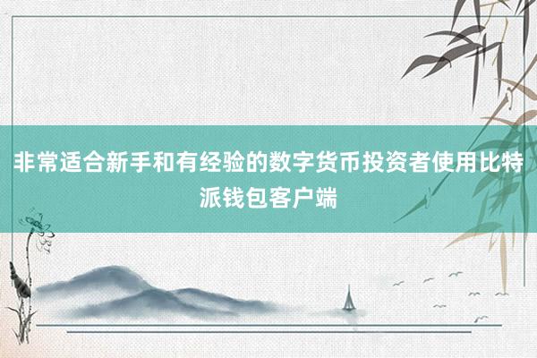 非常适合新手和有经验的数字货币投资者使用比特派钱包客户端