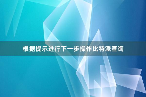 根据提示进行下一步操作比特派查询