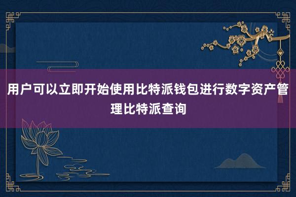 用户可以立即开始使用比特派钱包进行数字资产管理比特派查询