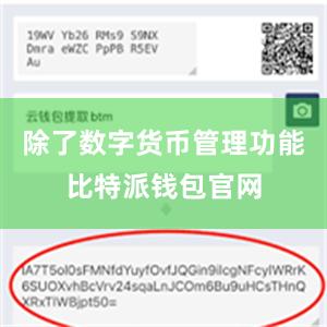 除了数字货币管理功能比特派钱包官网