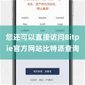 您还可以直接访问Bitpie官方网站比特派查询