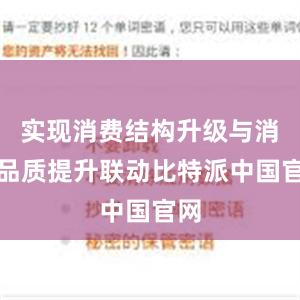 实现消费结构升级与消费品质提升联动比特派中国官网